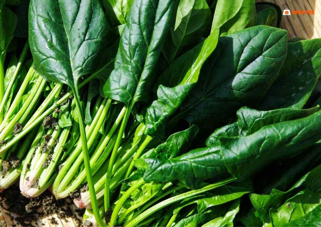 เมนูเจ โปรตีนสูง สารอาหารทดแทนหมวดผัก และธัญพืช